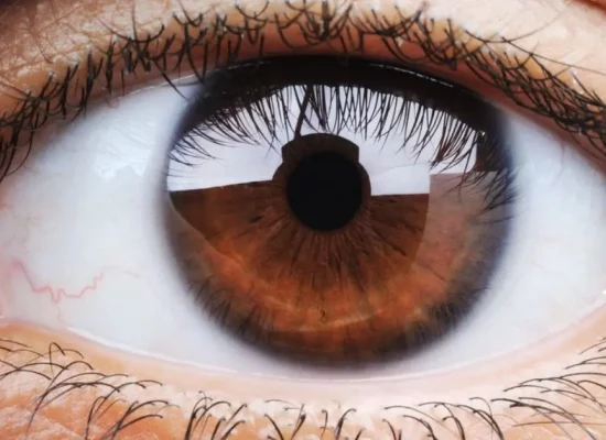 Visionnaire voir grand